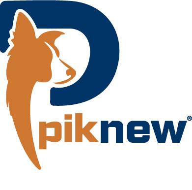 piknewguncellogo